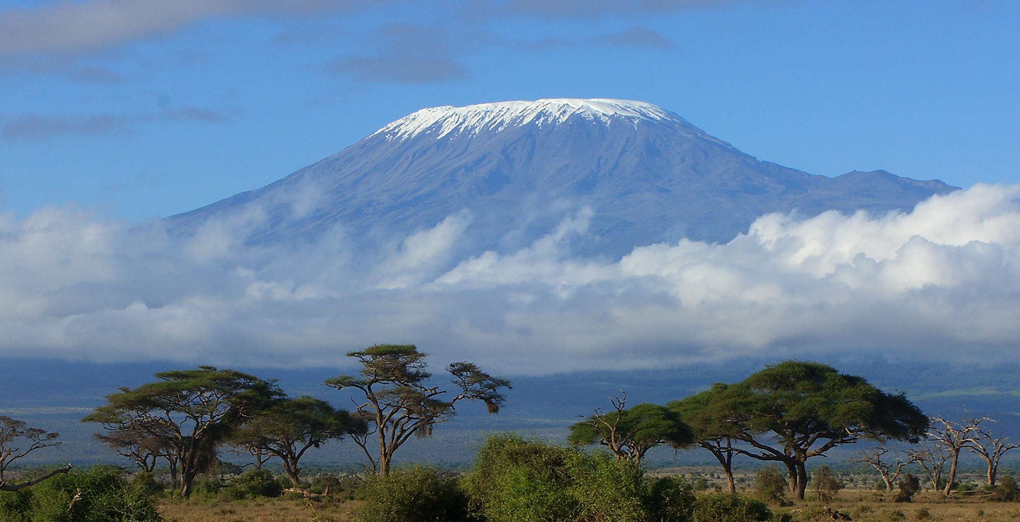 Kilimanjaro