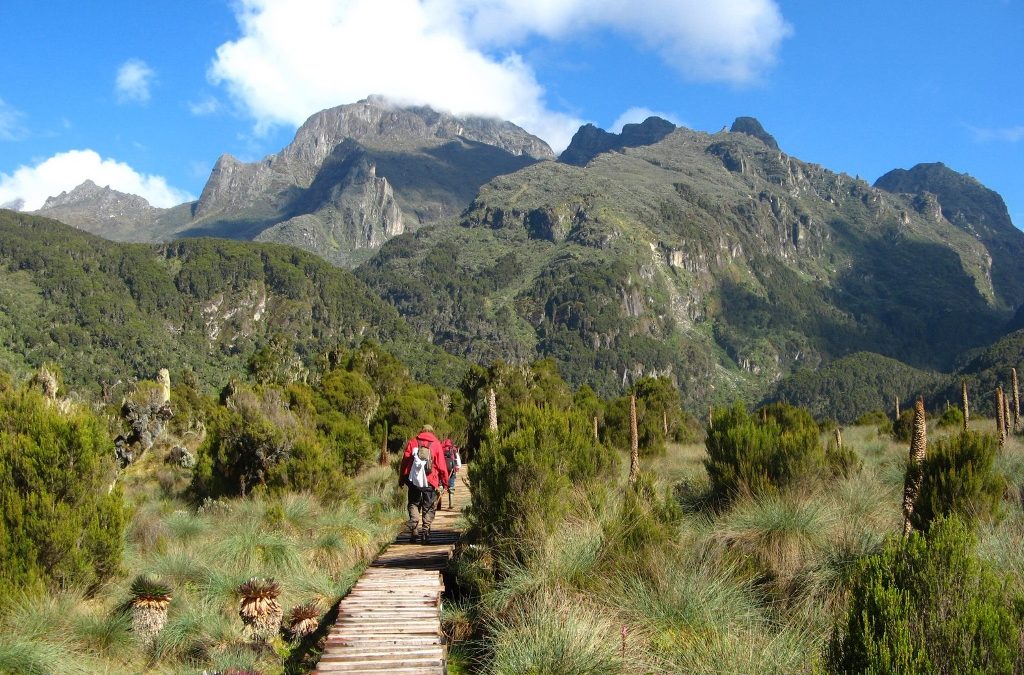 Mt. Elgon Trekking